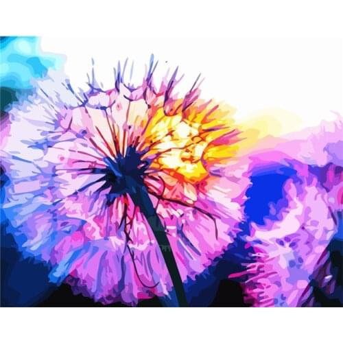 PhotoCustom Oil Paint By Numbers Kits Flowers Painting By Numbers On Canvas Frameless 60x75cm Hand Painting DIY Home Decor