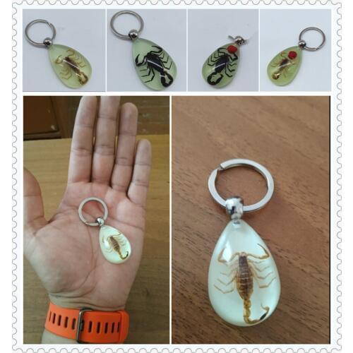 Motorcycle style scorpion luminous wear key chain crafts accessories for YAMAHA YZ250FX YZ450FX WR250 450 WR250F WR450F