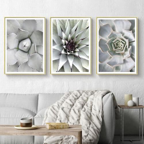 Green Variety of Succulents Wall Art Canvas Painting Nordic Posters and Prints Wall Pictures for Living Children Home Decoration