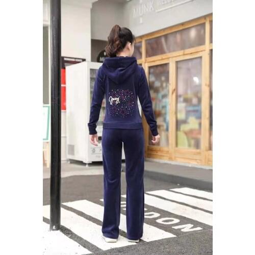 Elegant Simple Pattern Fashion Hooded Velet Spring Fall Women Sweatshirt Zipper Tops Jogger Pants 2 Pieces Sets S-2XL