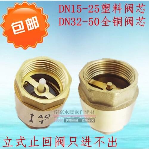 Brass female vertical check valve check valve check valve spring check valve 4 points 6 points 1 inch DN15 20