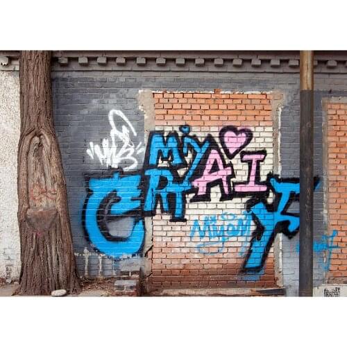 Graffiti Brick Wall Vinyl Photography Background Computer Printed Customizd Children Baby Photo Backdrop for Studio Photocall