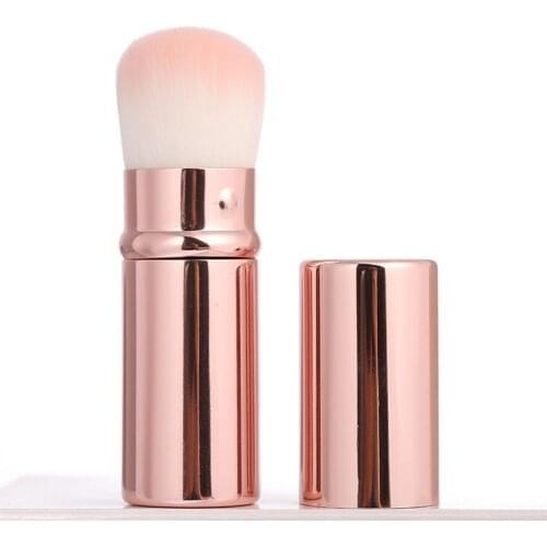 LZDLKDR Powder Brushes