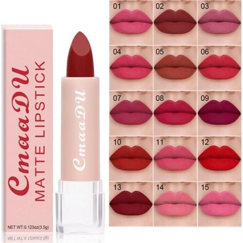 15 Colors Matte Velvet Lipstick Waterproof Long Lasting Beauty Nude Lip Stick Makeup Nonstick Cup Red Lipsticks Cosmetic Batom
