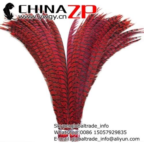 CHINAZP Factory Large Size from 36 to 40 inch (90~100cm) 50pcs/lot Good Quality Dyed Red Zebra Feathers Carnival Handpieces