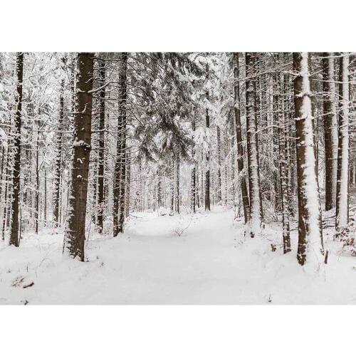 Photography Background Forest Snow Custom Christmas Backdrops Photo Studio for Children Baby Lovers Photoshoot Photocall