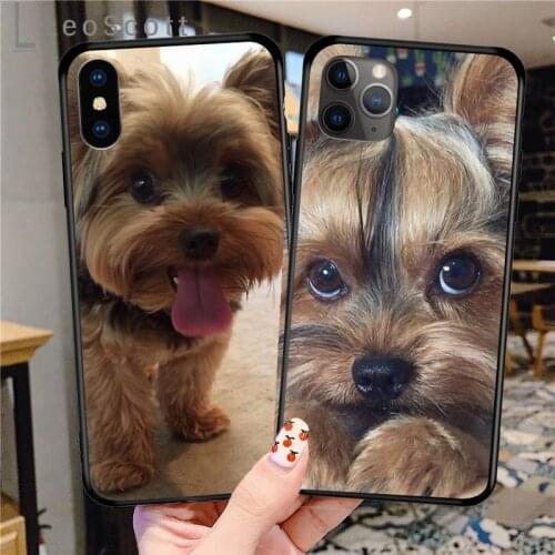 Mini Yorkshire Terrier Phone Case for iPhone 11 12 pro XS MAX 8 7 6 6S Plus X 5S SE 2020 XR