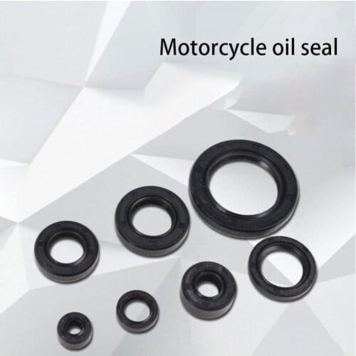 Engine Oil Seal Kit for Motorcycle Rebel CA250 Regal Raptor DD250 Tank Vision Baja Phoenix 250 Jinlun Texan 250 QJ250-3 253FMM