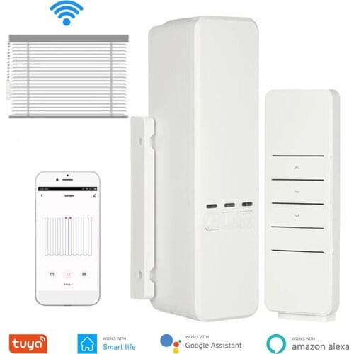 WiFi Blinds Control Electric Curtain Motor Smart Chain Roller Blind Shutter Motor Work With Alexa Google Home Tuya Smart Life