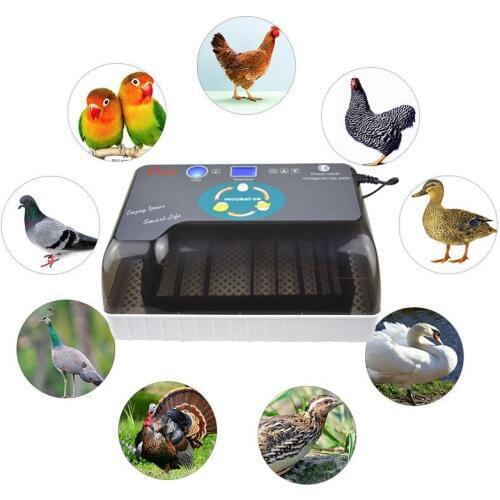 Automatic Digital 12 Eggs Incubator Hatcher Large Capacity Practical Incubators For Chicken Poultry Quail Eggs Home Use