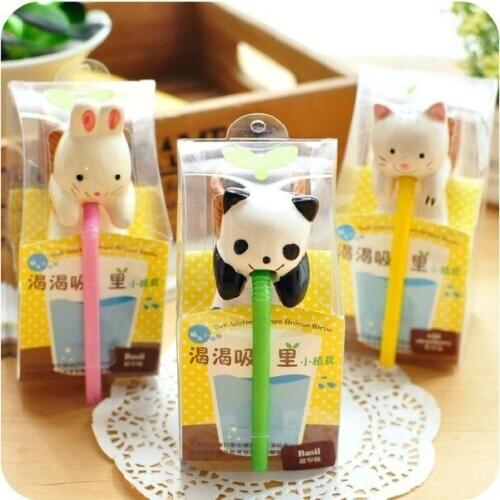 Manufacturers, wholesale indoor potted flowers micro landscape hydroponic plants creative bonsai automatic water animal mouth