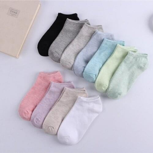 10 double Koton Affordable Mixed Color Women Booties Socks