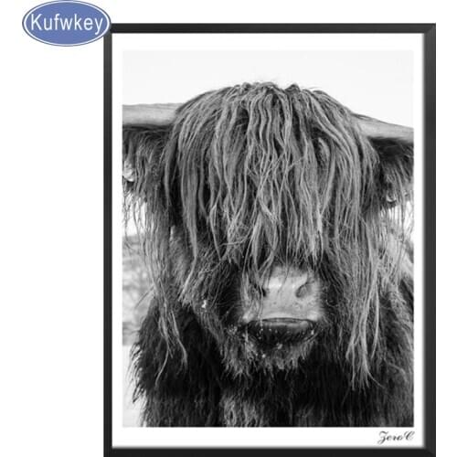 Modern Wall Art Highland cow,Full,square,Diamond Embroidery Diamond Painting Cross Stitch kit,3D,Diamond Mosaic,Crafts,stickers