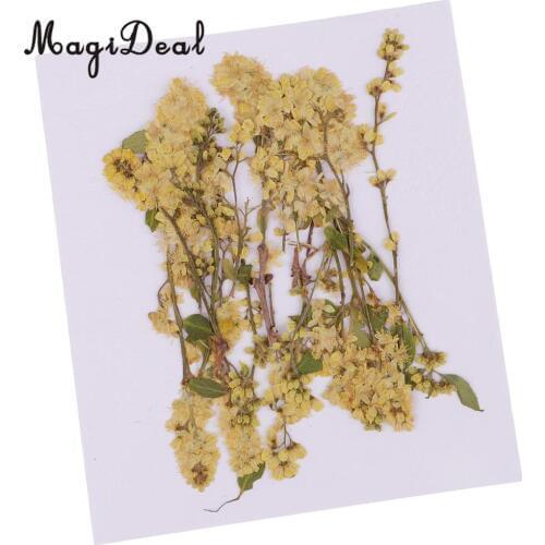 20pcs Pressed Yellow Real Dried Flower for DIY Jewelry Making Necklace Pendants Charms Resin Casting DIY Ornament 4-10cm