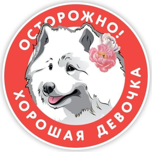 B0673# Self-adhesive Decal собака Самоед осторожно Car Sticker Waterproof Auto Decors on Bumper Rear Window Motorcycle