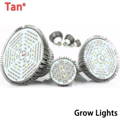 Tanranyu Plant Lamps