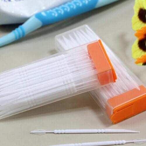 Portable Toothpicks Plastic 120pcs Plus Brush In Clear Case Korean Eco-friendly No Smell Toothpick Home Kitchen Tools