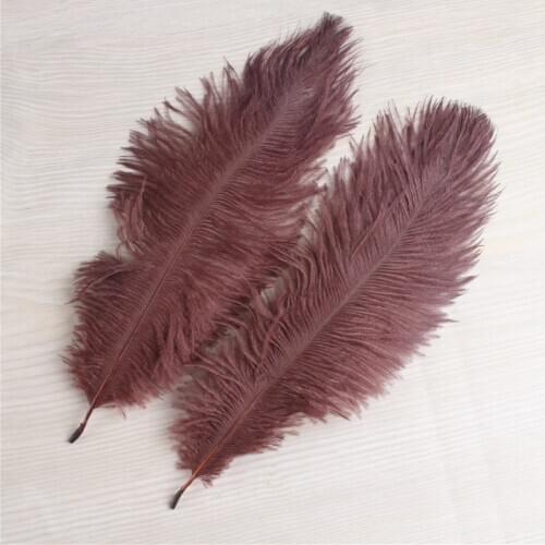 Direct Selling 10pcs Beautiful High Quality Coffee Ostrich Feathers 6-8 Inches/15-20 Cm For Party/wedding Decoration Plumas