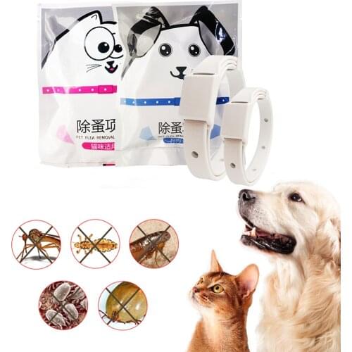 Adjustable Dog Collar for Small Dogs Pets Parts for 8 Month Flea Tick Collar for Dogs Cats Collar Pet Cute Products 2021