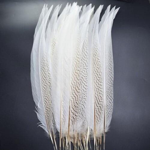 Natural Pheasant Tail Feathers for Crafts 8-32" 20-80cm Silver Pheasant Feathers Plumas Carnaval Craft Feathers plume decoration