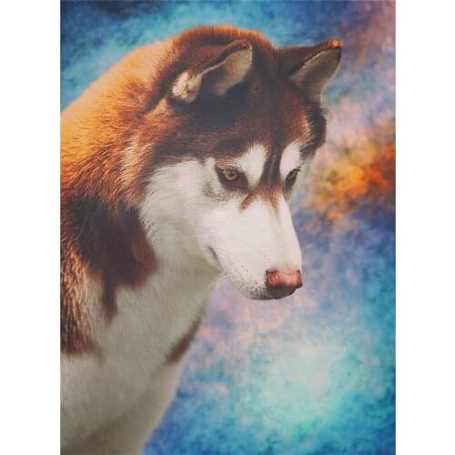 Animal Dog Husky Pre-Printed 11CT Cross Stitch Complete Kit Embroidery DMC Threads Sewing Handiwork Knitting Handmade Design