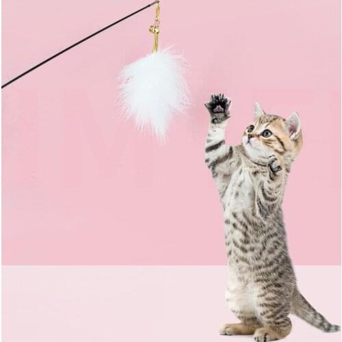 Cat Feather Stick Toy Feather Teaser Stick Wand Pet Cat Toy Funny Interactive Cat Teaser Product Pet Accessories Decoration
