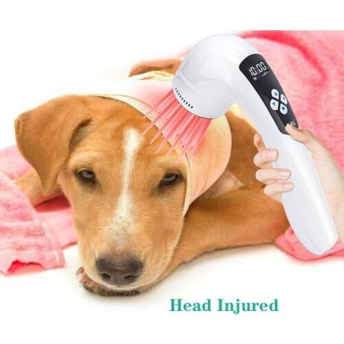 Cold Laser physiotherapy Veterinary Pets Doctor Itchy dog skin,Canine Allergic Dermatitis,Fracture Animal Ligation Surgery