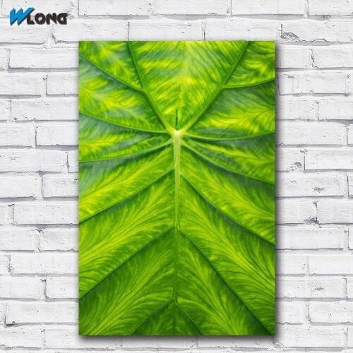 Printing The color of spring photo art Wall Art Picture Home Decor Living Room Modern Canvas Print No Frame Paintings