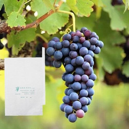 100pcs Grape Paper Protection Grow Bags For Fruit Vegetable Grapes Waterproof Pest Control Anti-Bird Outdoor Planting Supplies