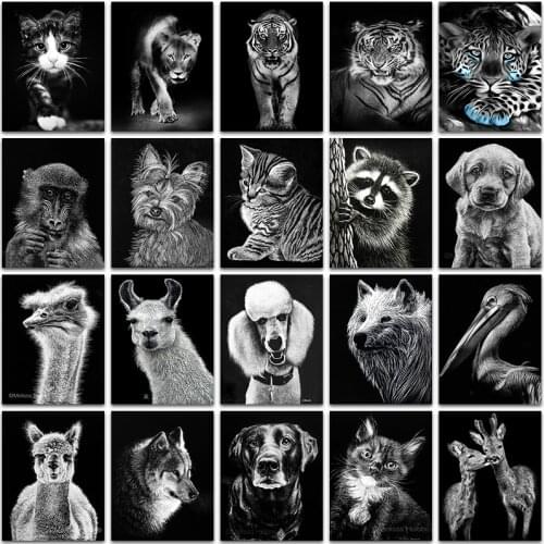 5D DIY Diamond Painting dark animal dog Cat lion tiger ostrich Raccoon Full Square&Round embroidery mosaic Cross stitch Paint