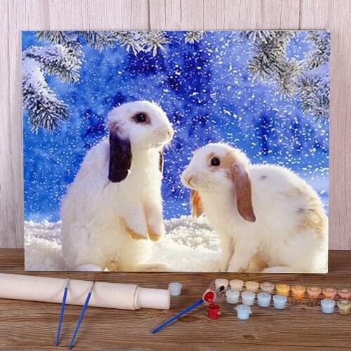 Animal Rabbit Paint By Numbers Complete Kit Oil Paints 40*50 Canvas Painting New Design Children Wall Art Drawing