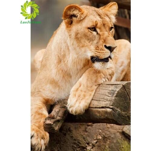 Full Round/Square Diamond Animal 5D DIY Diamond Painting Lion Diamond Embroidery display Cross Stitch Mosaic decor