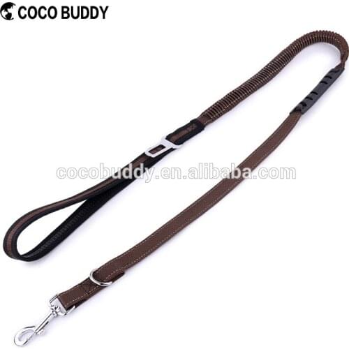 2 In 1 Adjustable Dog Leash with Elastic Nylon Bungee Pet Car Safety Seat Belt