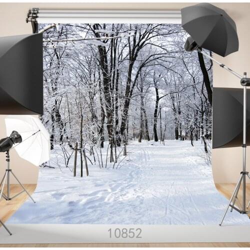 Photographic Background Snow Covered Forbidden Forest For Wedding Children Baby Shower New Born Vinyl Backdrops Photo Studio