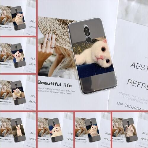 For Meizu 16Xs 16s 17 Pro 16T Back Cover Soft Silicone Transparent Kawaii Cat Cute Animal Phone Case For Meizu X8 M10 Note 8 9