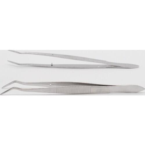 Dentistry Stainless Steel Plier Tweezer Forcep Silver Cuspidal Teeth Clean Tool