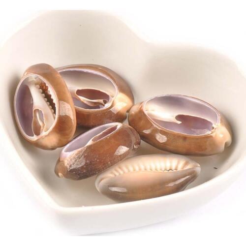 Natural Cut Seashells For Jewelry Shells Bracelet Pendant Handcraft Home Decor DIY Charms Accessories 2-3.5cm 5pcs tr0295