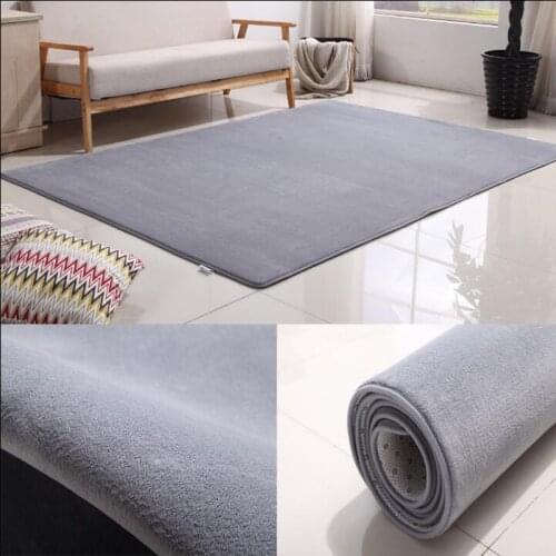 Ultra Soft Thick Memory Foam Absorbent Coral Fleece Fabric Area Rugs Nonslip Living Room Carpet Bathroom Rugs Set Floor Shag Rug