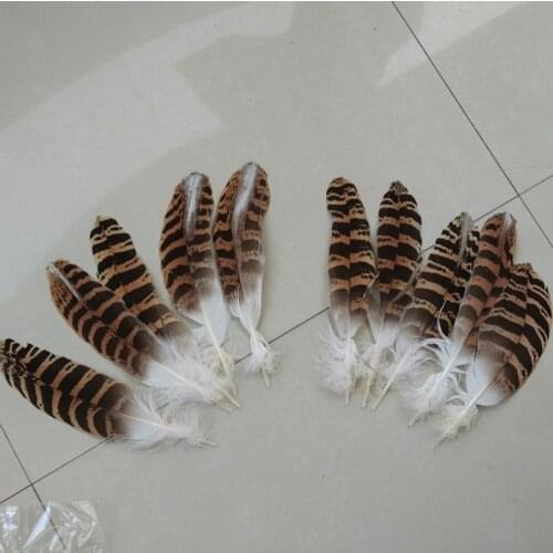 Wholesale 10pcs / lot rare natural eagle feathers long 18-25cm / 7-9 inch beautiful feathers accessories, decoration