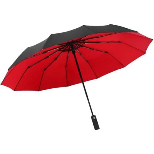 Windproof Travel Umbrella Compact, Light, Automatic, Strong and Portable Auto Open & Close Folding Backpack Umbrella