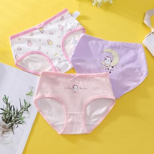3PCS/LOT New Design Kids Girls Cotton Cartoon Pattern Panties 3-14yrs Children Girls Underwear Briefs