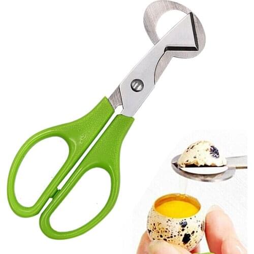 20pcs Birds Egg Scissors Pigeon Cutting Opener Cutter Kitchen Cracker Clipper Quail Shear Slicers Stainless Steel Tools