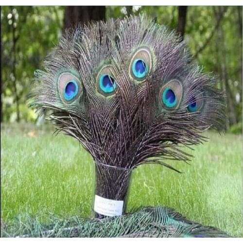 20 Pc Natural Peacock Feather Holiday Party Plumage Fashion Crafts Beautiful Decorative 25-30cm