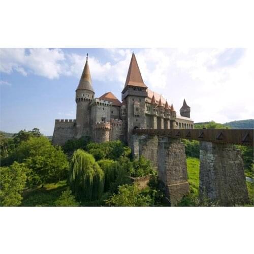 Beautiful landscape hunyad castle corvin castle transylvania hunedoara romania Home Decoration Canvas Poster