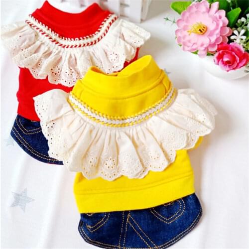 Winter Dog Dress Cute Lace Denim Skirt Cat Puppy Dog Clothes Yorkshire Poodle Pomeranian Poodle Bichon Schnauzer Pet Clothing
