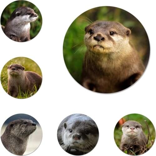 Lutra Otter Lovely animals Icons Pins Badge Decoration Brooches Metal Badges For Clothes Backpack Decoration