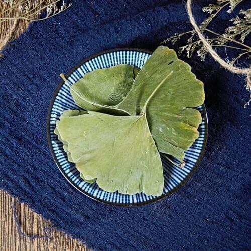 Natural Wild Ginkgo Leaf Product Detoxification Ginkgo Tea Health Care For Lower Blood Pressure Weight Lose Tea