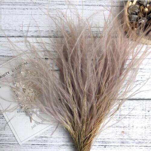 15g 15-30cm Preserved Khaki Slender Grass Flowers Feather For Craft Gift Material Accessory Decoration Flower Arranging DIY