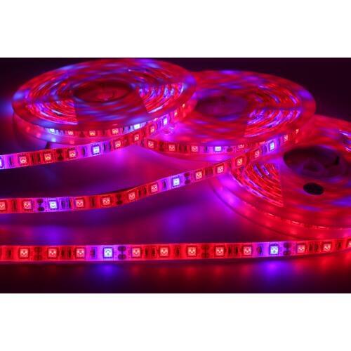 Фитолампы для растений TAN ZHOU ZE China At AliExpress