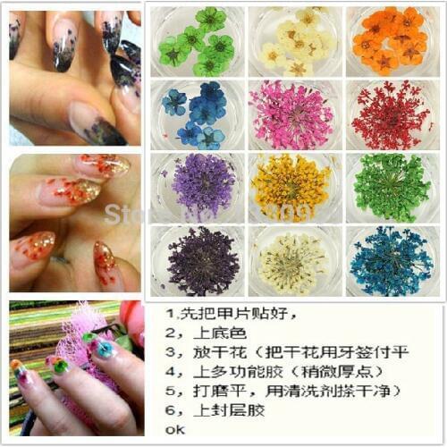 Hot Sale 12 Different Dried Flowers Nail Art Decoration For UV Gel Acrylic Nail Tips Tool Free Shipping